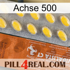 Axcil 500 42